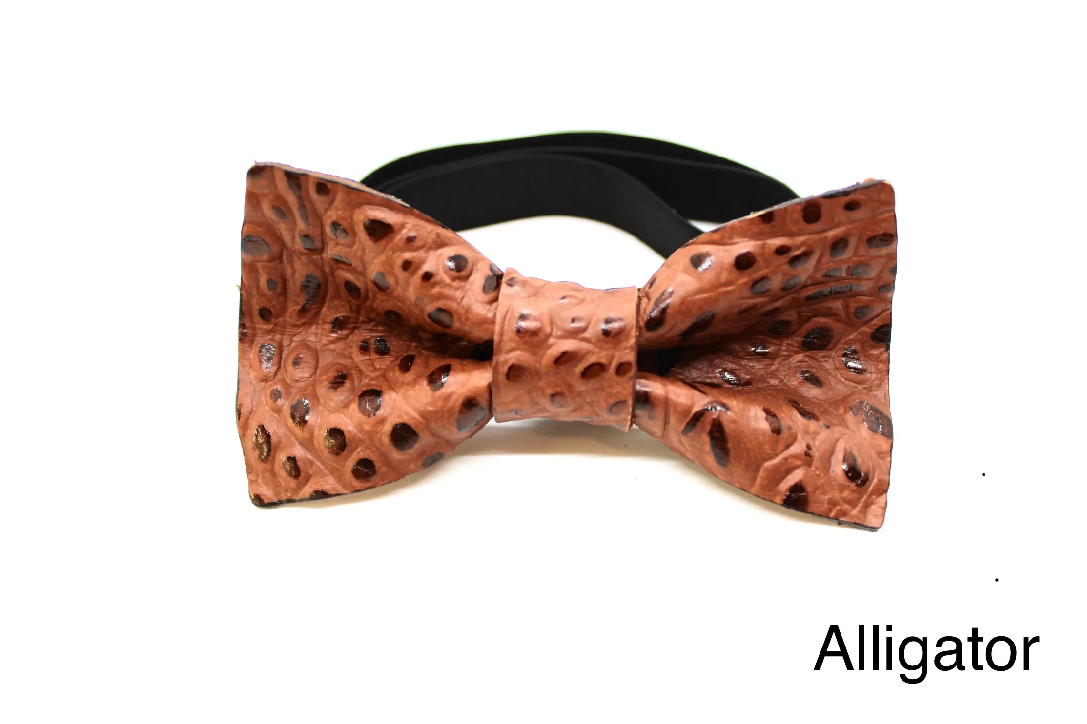 Bow Tie - Large