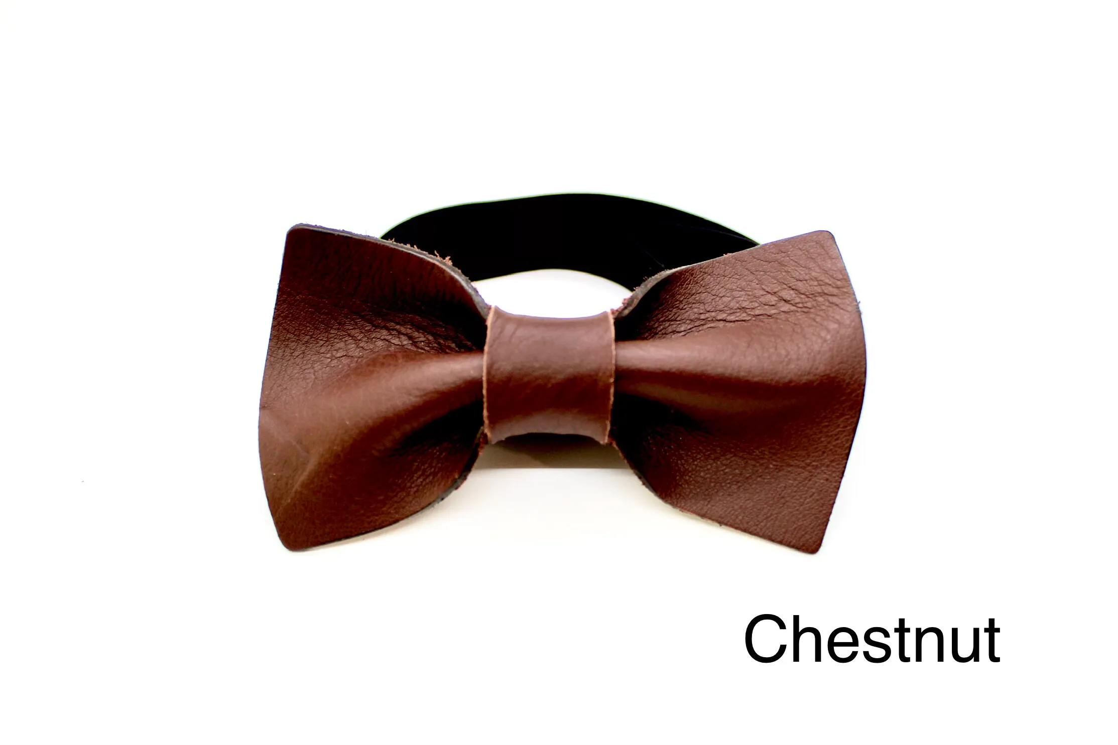 Bow Tie - Large