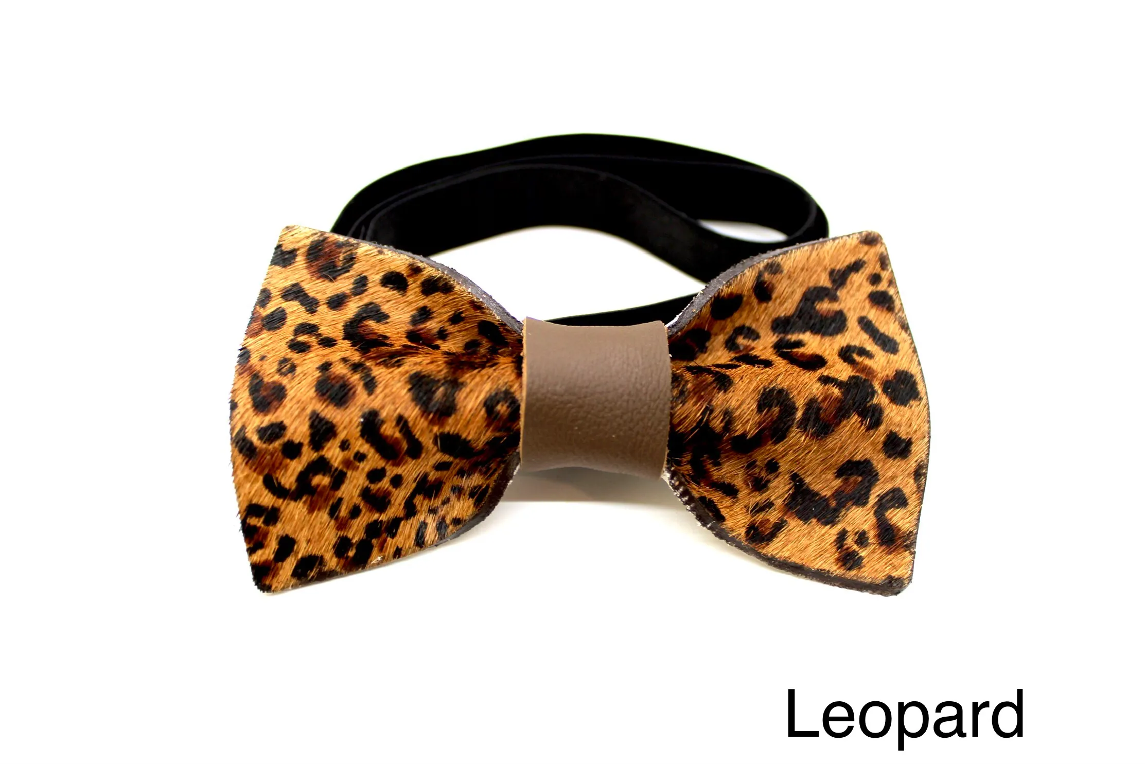 Bow Tie - Large