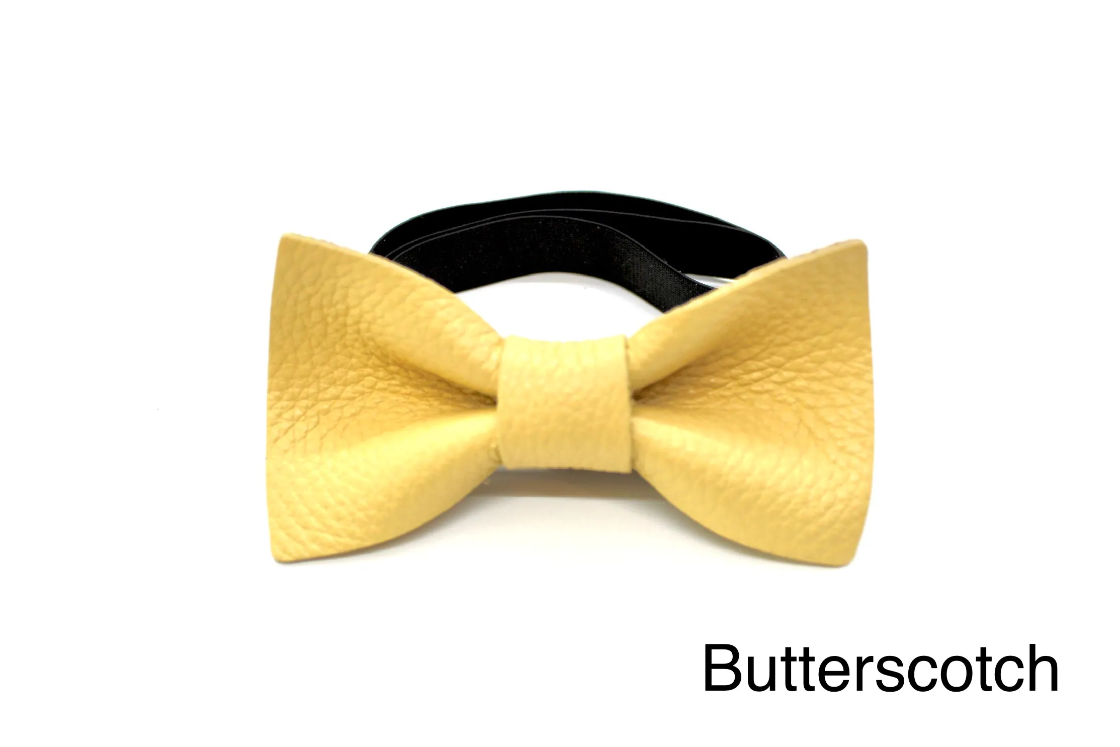 Bow Tie - Large