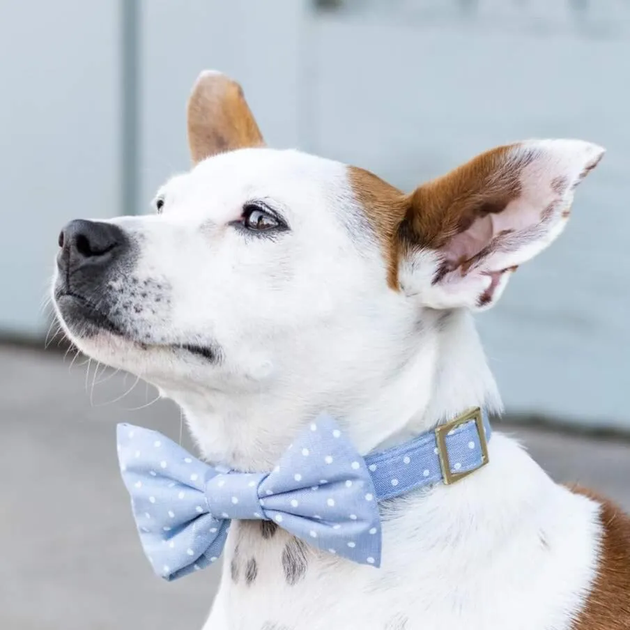 Chambray Dots Dog Bow Tie