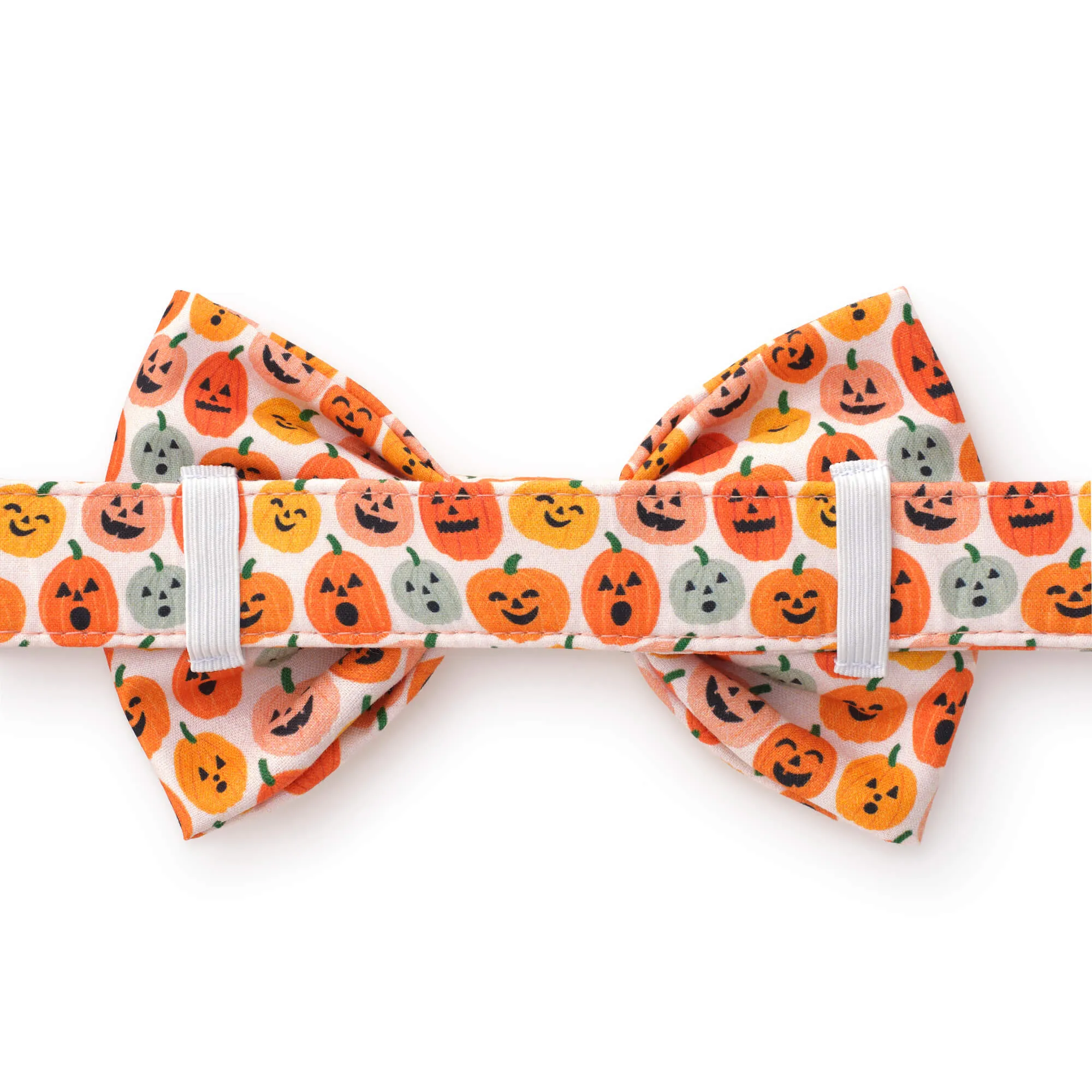 Jack-o’-Lanterns Bow Tie Collar