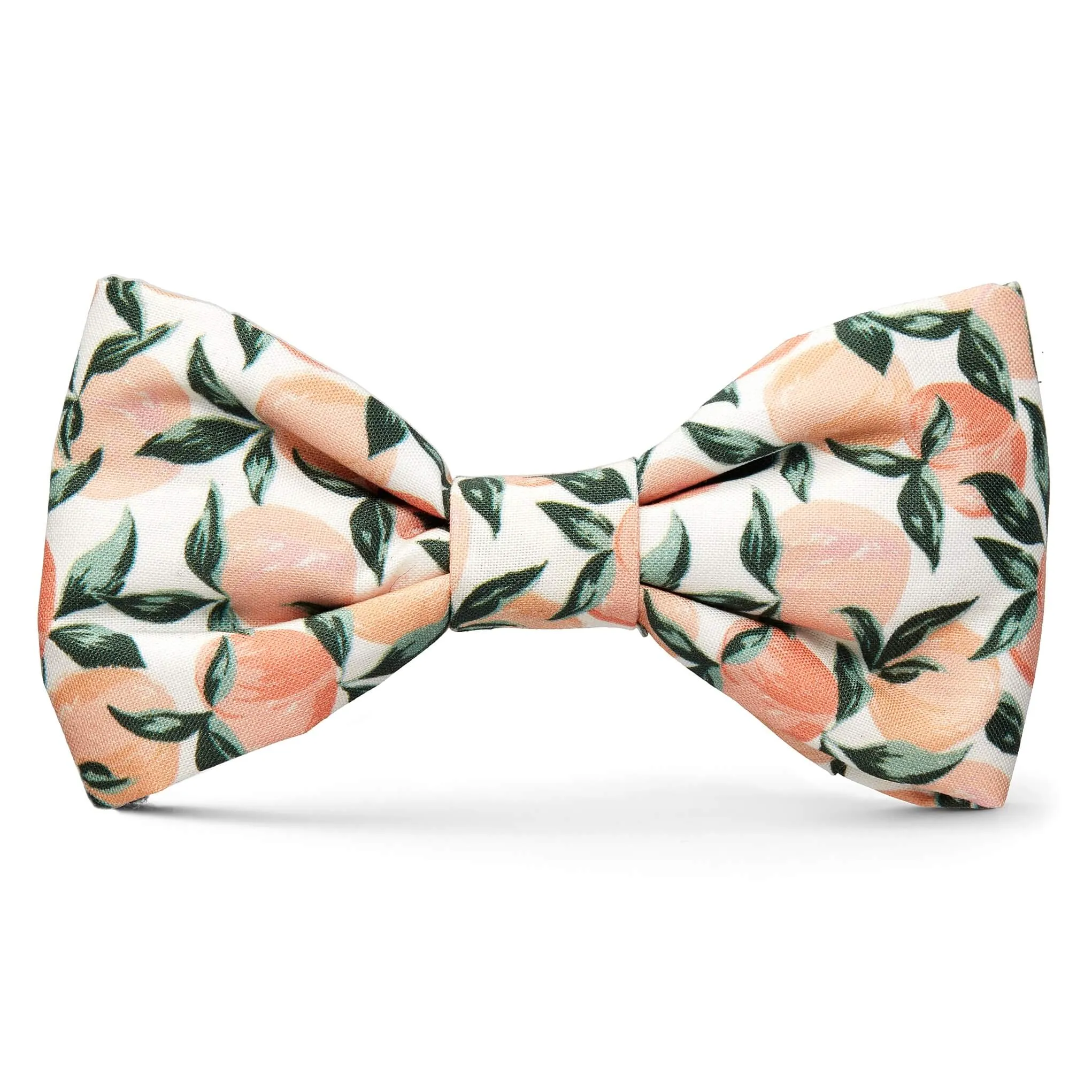 Peaches and Cream Dog Bow Tie