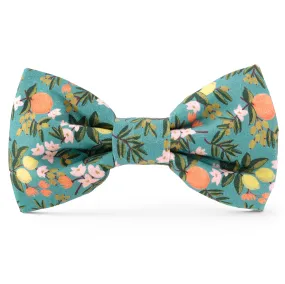 Rifle Paper Co. x TFD Citrus Floral Dog Bow Tie