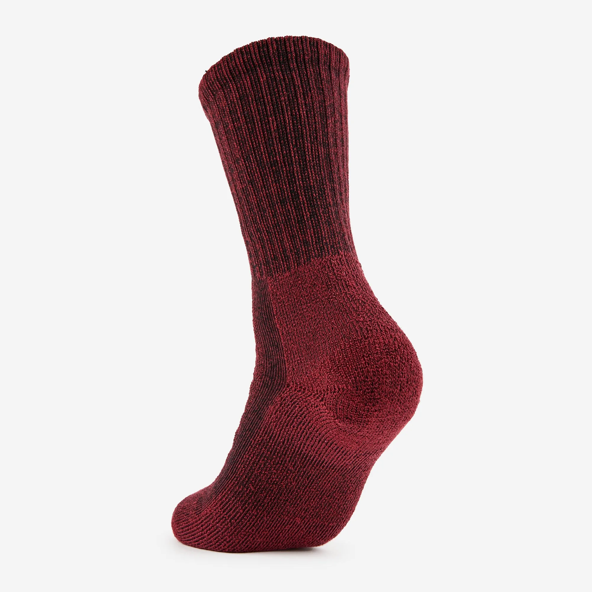 Women's Moderate Cushion Crew Hiking Socks | LTHW